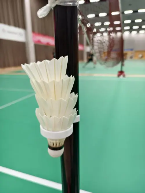 2025 05 17 8cda6d08dd37e.jpg.webp