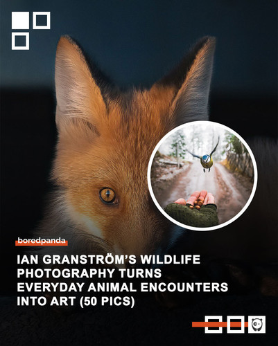 Community Share 2 (1).jpg