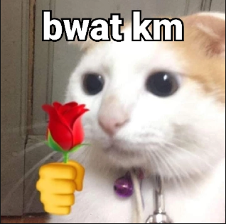 Screenshot 2026 03 19 145410.png