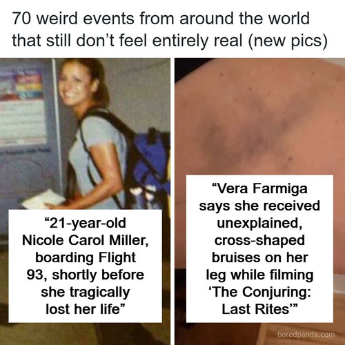 interesting things on earth posts.jpg