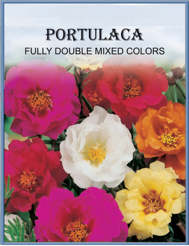 ArtPro Normalized PDF.jpg