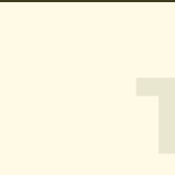 Head of operation Theo