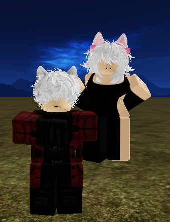 RobloxPlayerBeta GpPUPrkyQt.png