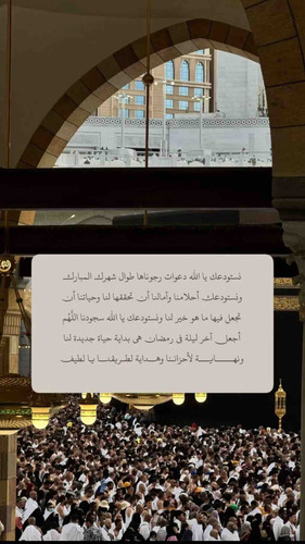 E242FAC9 70D5 4891 9A03 4E485755840C.jpg