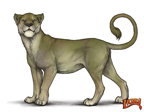 lioden wardrobe (1).png