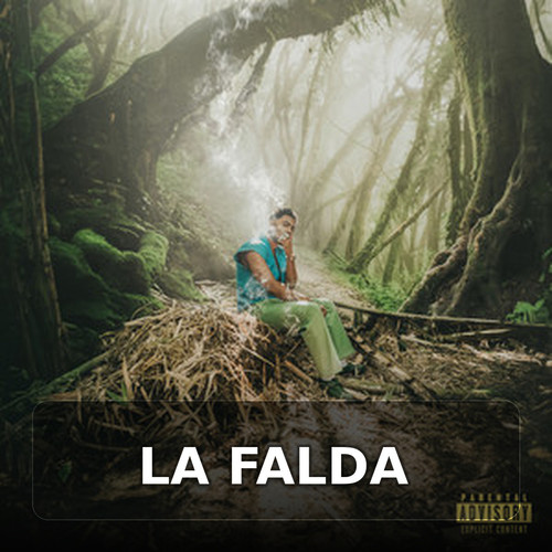 28 LA FALDA.jpg