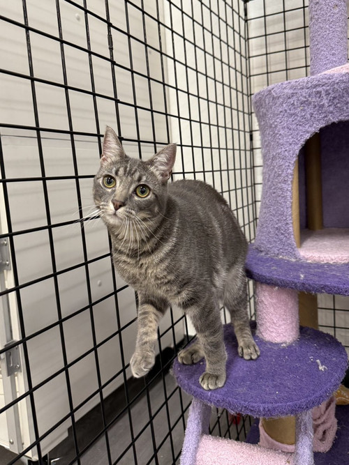 HCXMHRTbkAA fkj?format=jpg.jpg