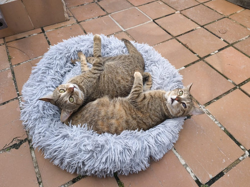 HDtfBp XYAAOtQf?format=jpg.jpg