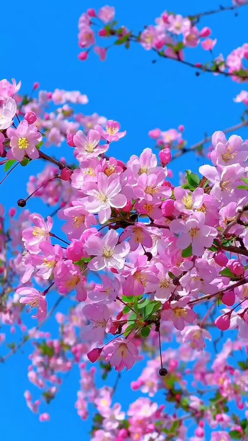 QmbE4Rp8Kty qQcD.jpg