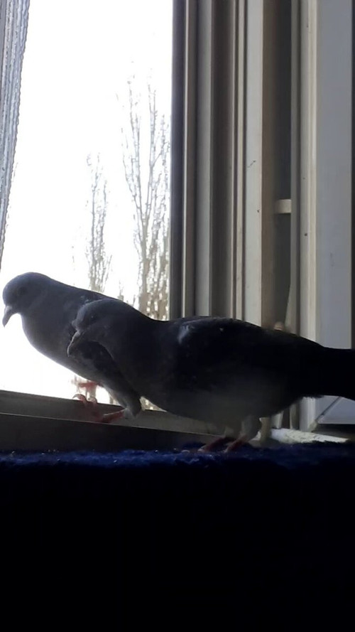 kMw01 89Sahk79sf.jpg