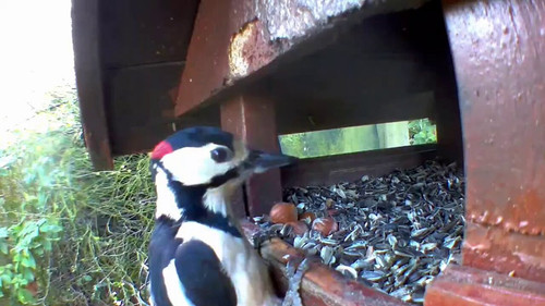 HHf v9n5OveQf9CB.jpg