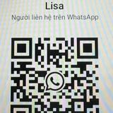 lisa 81766728qr