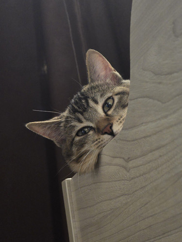 file 6 c06d8637 73bf 4fe2 b1ac c9b64dd0e373.jpg