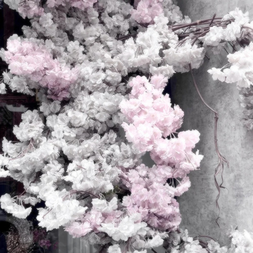  Ai No Hana 1 缨岩岛 来自小红书网页版.jpg