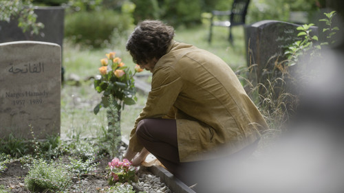 102 0010 mp01 v000 thumb 1001.jpg