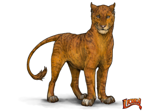 lioden wardrobe (3).png