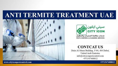 ANTI TERMITE TREATMENT UAE.jpg.jpg