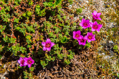 lake sainte anne qeyras in hautes alpes in france.jpg