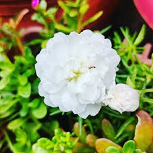 08 86433e58 53cb 488a bb8b 7fc7fb6f993b.jpg