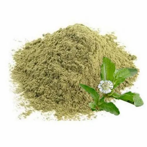 eclipta alba extract 500x500.jpg