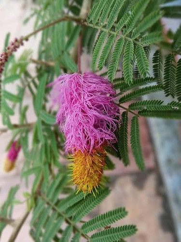 61U9utno8WL. UF1000,1000 QL80.jpg