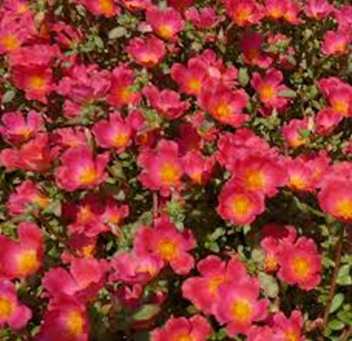 images 1.jpg