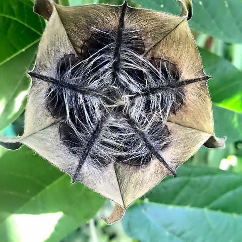 BLOG SUB IMAGES 05701bf9 cf9b 4539 a289 a385785bfa4e 480x480.jpg