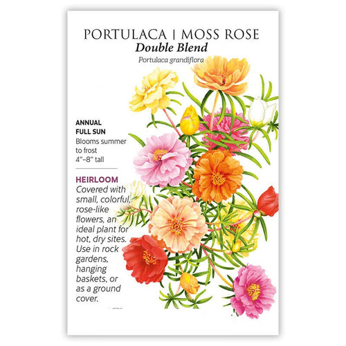29 1067w Portulaca Moss Rose pbxfu4 fd8388e5 7866 47ad 9dee 5189dea82a69 jpg.jpg