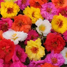 02 a46064e7 248f 44fc 821d 92fec7b708e2.jpg