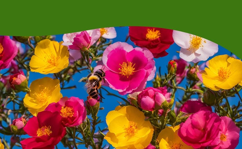 35 0fb676bf01d27980fe064d8b jpg.jpg