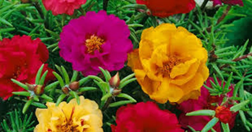 07 aea45b13 9546 416e 9639 a654dc2b299a.jpg