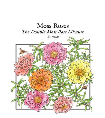30 8390 moss rose double mixture 1 jpg.jpg