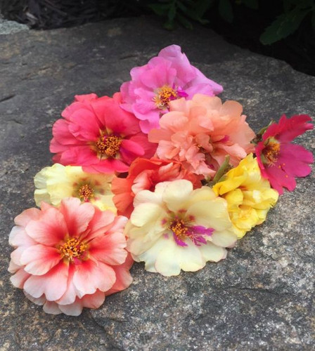 32 8390d web jpg.jpg