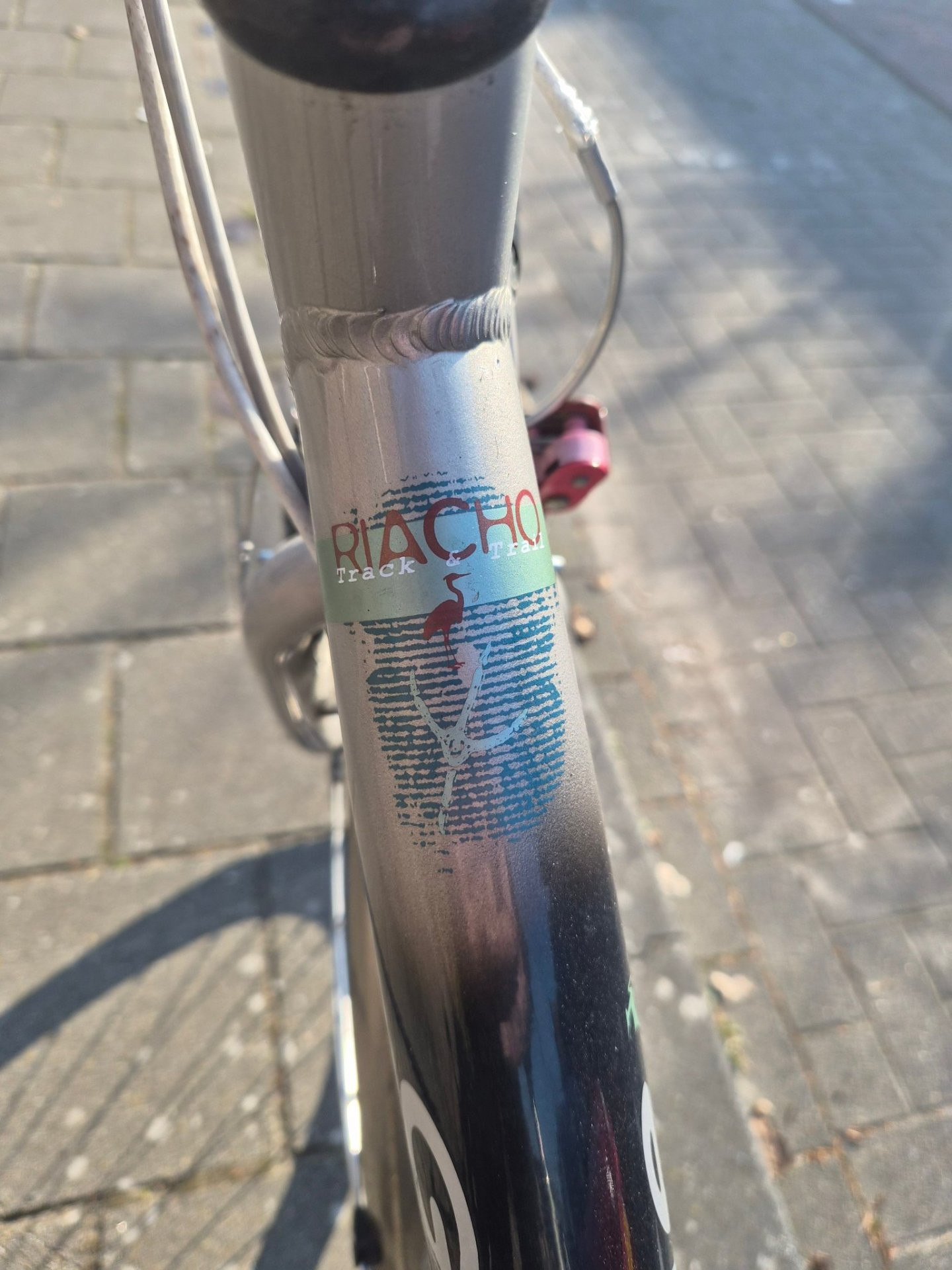 Gazelle Riacho 24 versnellingen - Image 12