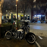 WhatsApp Image 2026 03 21 at 18.45.27