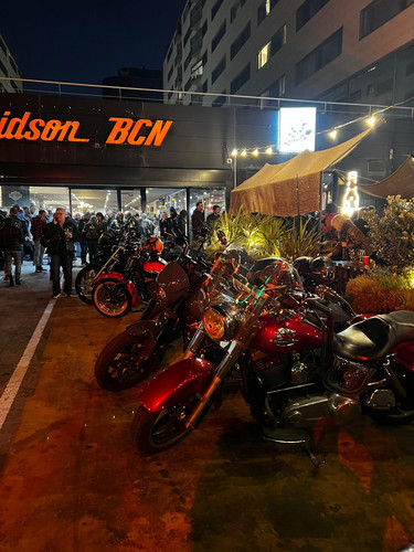 WhatsApp Image 2026 03 21 at 18.45.25 (4).jpg