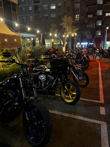 WhatsApp Image 2026 03 21 at 18.45.25 (3).jpg