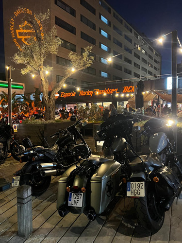 WhatsApp Image 2026 03 21 at 18.45.25.jpg