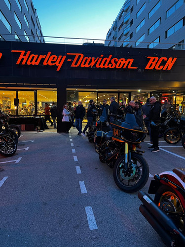 WhatsApp Image 2026 03 21 at 18.45.24 (4).jpg