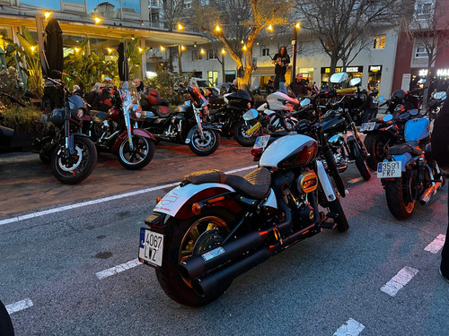 WhatsApp Image 2026 03 21 at 18.45.24 (1).jpg