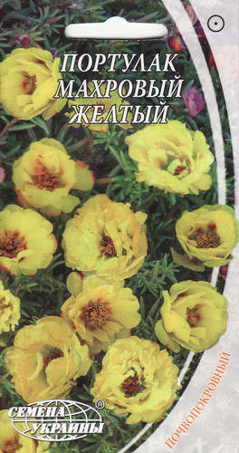 il 1588xN.850817952 4mdv.jpg