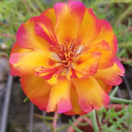 il 1588xN.6485266220 p294.jpg