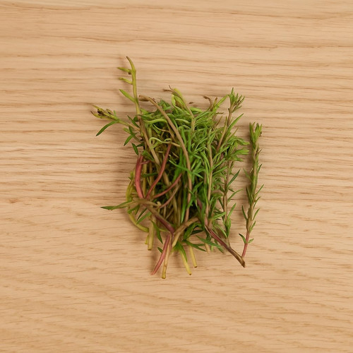 611qz6h6 Ez L SL1024.jpg