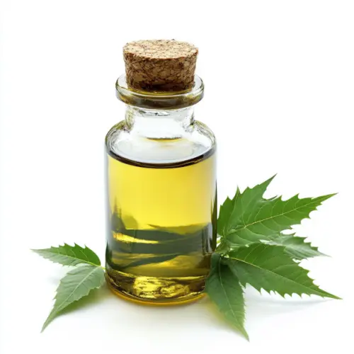 neem oil.webp