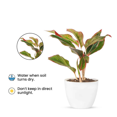 61F3PEbzTPL. SL1500 .jpg