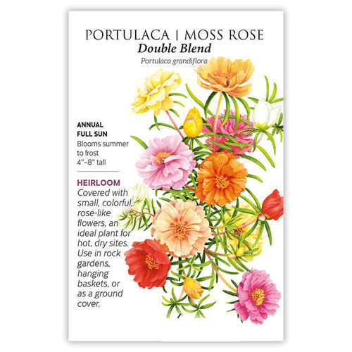 26 1067w Portulaca Moss Rose pbxfu4 f23404b3 d740 4ea8 a783 b9c71a75b7a2 jpg.jpg