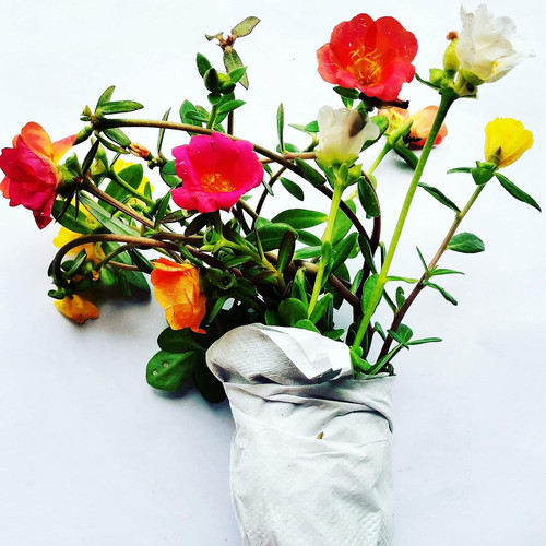 91doSHJLk4L. SL1500 .jpg