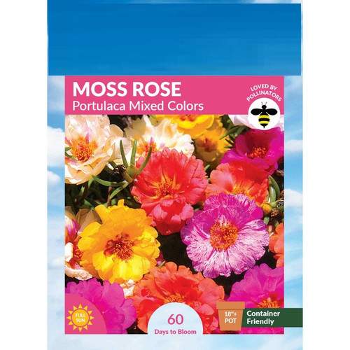 50 6091 Moss Rose Portulaca Front 2000px jpg.jpg