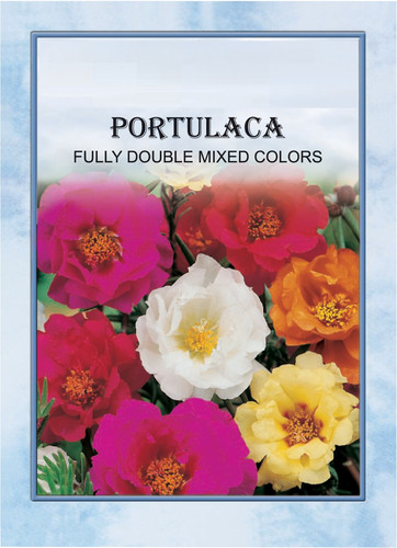 ArtPro Normalized PDF.jpg