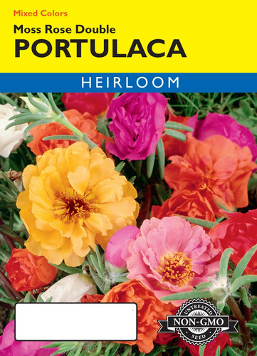 43 251 portulaca mossrosedouble jpg.jpg